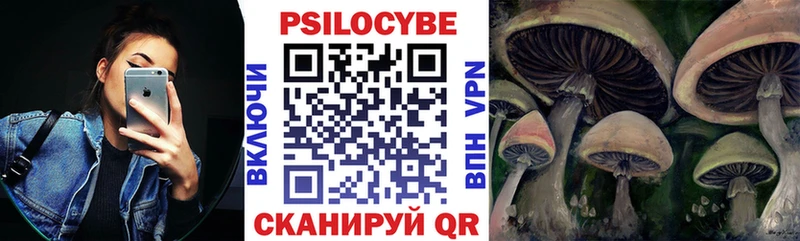 Псилоцибиновые грибы мицелий гидра ССЫЛКА Себеж